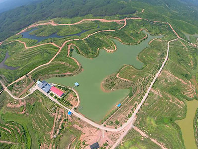 �۵�ɭ���c���ս�����W����WԺ��ӆ�͘I�������ز�����