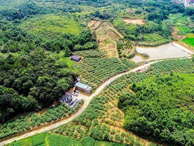 �A(y��)��ɰ�{���@Щ��(y��u)������֪��